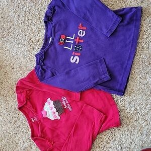 Gymboree lot - 2 long sleeve shirts, 2T